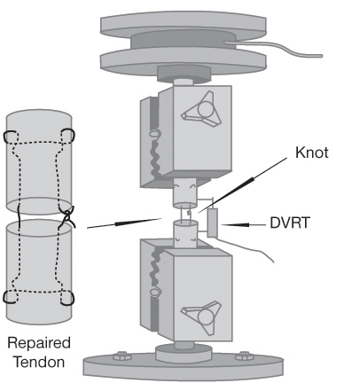 Mayo's biomechanical knot testing apparatus